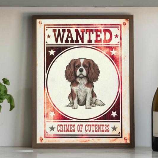 Wanted - Framed