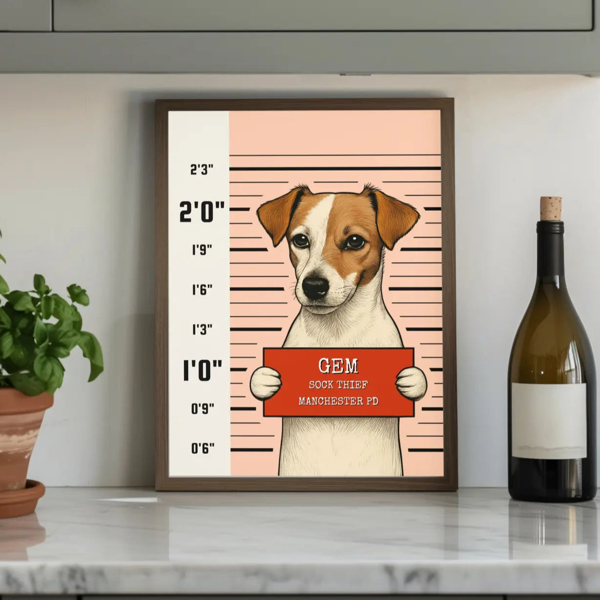 Mug Shot -  Framed